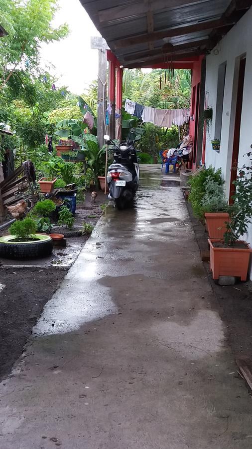 Santa CruzMi Ranchito住宿加早餐旅馆 外观 照片