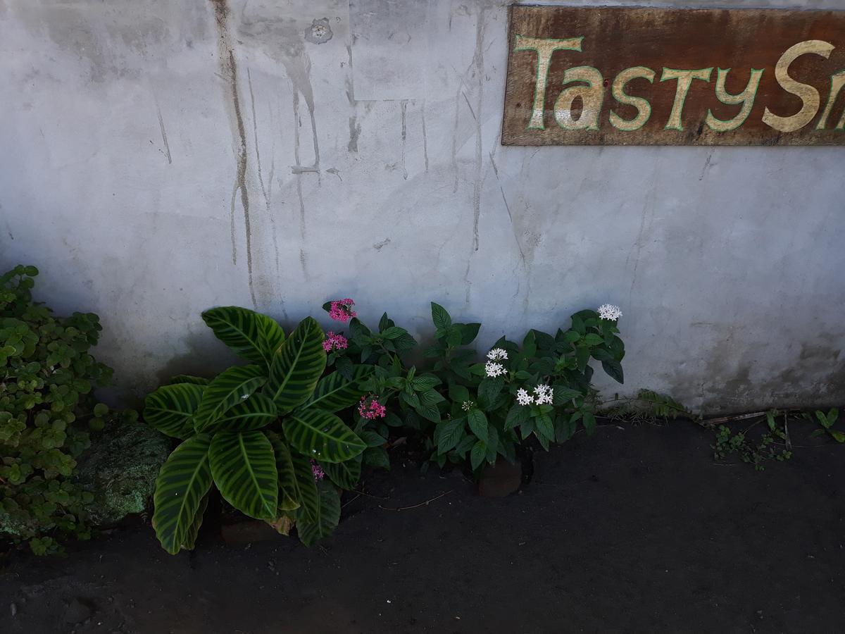 Santa CruzMi Ranchito住宿加早餐旅馆 外观 照片