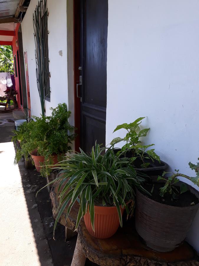 Santa CruzMi Ranchito住宿加早餐旅馆 外观 照片